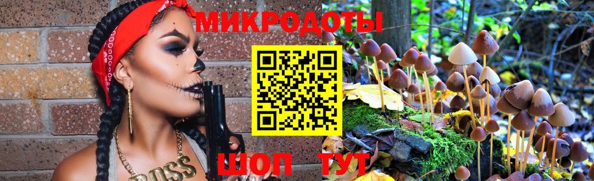 Псилоцибиновые грибы Psilocybine cubensis  Вход с VPN  Галлюциногенные грибы MAGIC MUSHROOMS  где купить наркоту  Ревда 